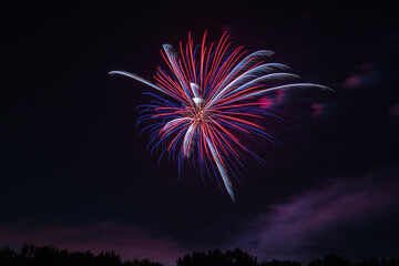 fireworks in the night sky