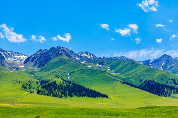 Green grassland and mountain natural landscape in Xinjiang, China.