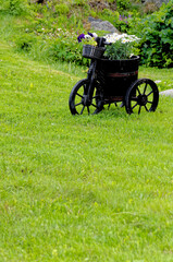Fototapeta na wymiar Rustic garden pot in rural village