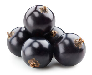 Black currant isolated