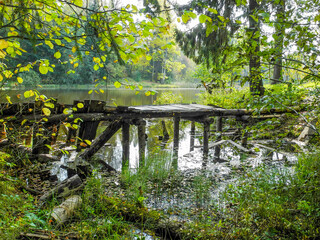 Broken wooden bridge in forest in autumn near lake