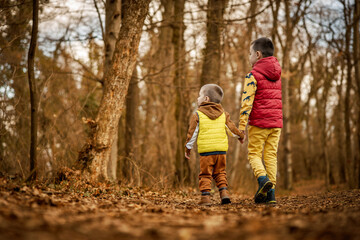 Naklejka na ściany i meble Children hiking in forest