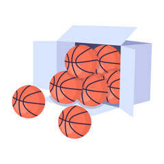 Basketball Balls 