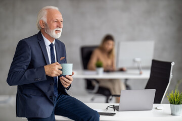 Web designers working at office and planning new website