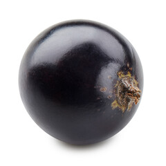 Black currant isolated