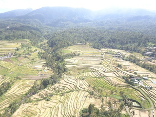 Fototapeta na wymiar Jatiluwih rice fields, Bali, Indonesia. Aerial view.