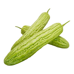 Bitter Gourd Cutout