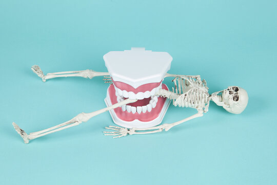 canibal pop denture