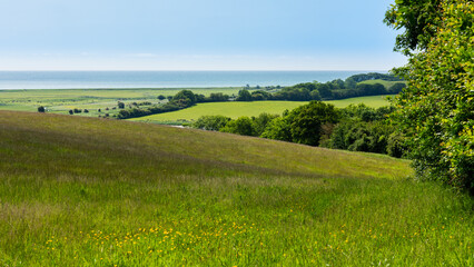 Countryside around Winchelsea in East Sussex. English Channel can be viewed in the distance.