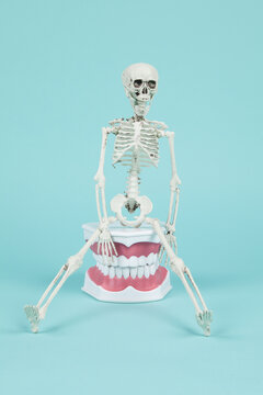 canibal pop denture