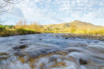 Serene Riverbank in Untouched Wilderness with Lush Plant Life and Scenic Landscape.