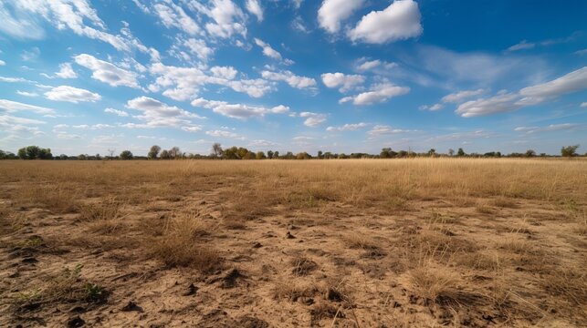 Dry grass field landscape background.  Generative AI technology.	
