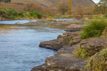 Serene Riverbank in Untouched Wilderness with Lush Plant Life and Scenic Landscape.