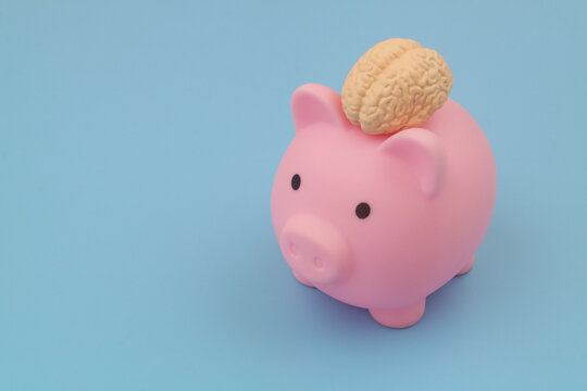 Smart way for saving money concept. Piggy bank with human brain on blue background. Copy space for text.