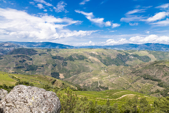 O Douro Visto do Miradouro de S&atilde;o Leonardo em Galafura