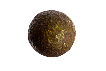 Circle shape whole avokado fruit on white background