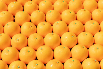  Russia. Saint-Petersburg. Mock-ups of oranges on the exhibition stand.