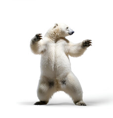 Fototapeta premium Dancing polar Bear on white, generative ai