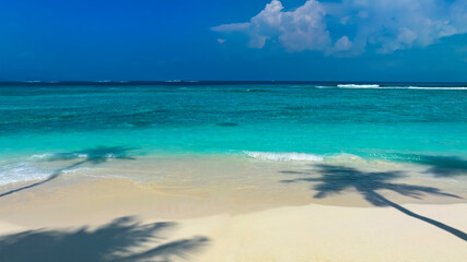 Summer palm tree  and Tropical sand  beach with blue  sky background