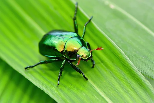 360_F_615789316_Pg5Yjtackh1S0t