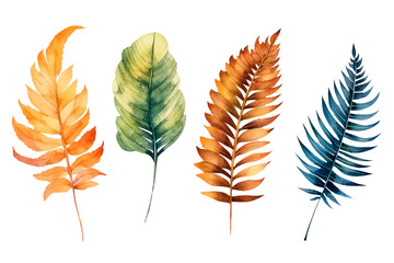 set watercolor autumn fern leaves on a white background.