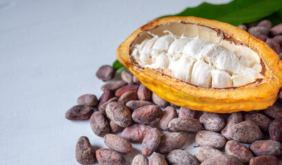 Close-up of half-ripe cacao pods and white cocoa seed with dry brown cocoa beans and green cocoa leaf