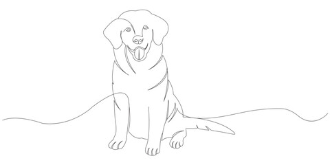 Obraz premium dog line art style vector with transparent background eps 10