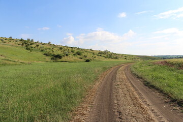 A dirt road through a grassy field