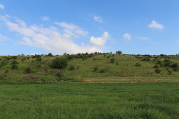 A grassy field with trees in the background