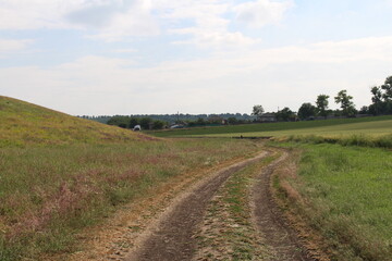 A dirt road in a field