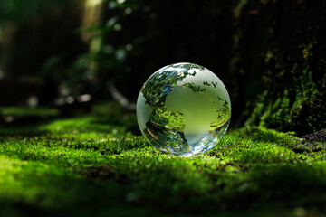 The globe crystal orb rests on the moss in the forest. There is sunshine. Sustainable concept, ecology and environment.