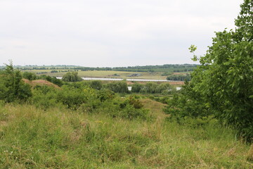 A grassy field with trees and a river in the background