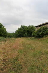 A grassy area with trees and a building in the background