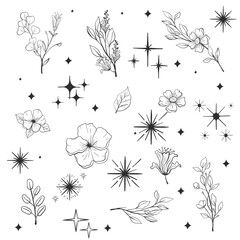 Flowers and stars PNG transparent background