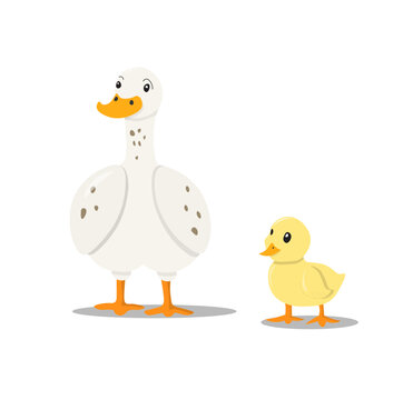 Geese farm animals and birds cartoon style vector illistration. Cute funny pictures for kids. Adult animal with baby chick
