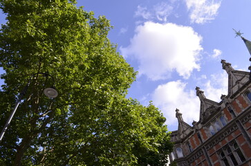 White cloud caught on a building with blue sky, trees in harmony, peaceful bright day of life