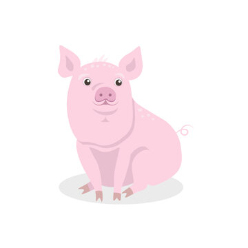 Cute funny pig vector illustration. Farm animals and country life. Pictures for kids. Flat style