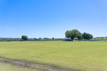 緑豊かな河川敷の芝生広場【グラウンド】