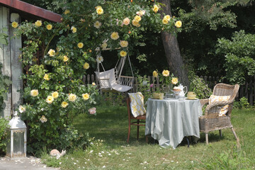 Breakfast place in the garden (table and wicker chair) near the blooming rose 