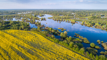 Floodplain of the river Prypiać during spring overflow