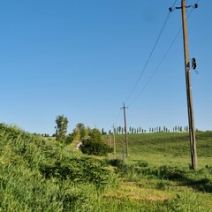 Power lines in a field