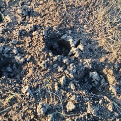 A close up of a rock