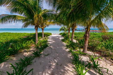 Fototapeta na wymiar Cancun Mexico beautiful caribbean sea on a sunny day and cloudy sky. Exotic Paradise. Travel, Tourism and Vacations Concept. Tropical Resort.