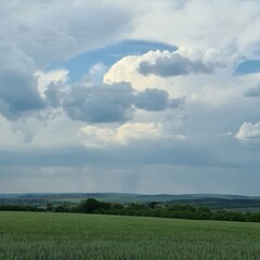 A large green field