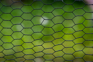 Lattice fence. Fence with green background