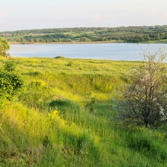 A grassy area with a body of water in the background