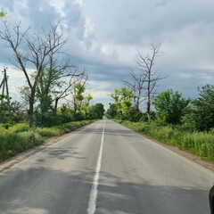 A long straight road with trees on either side