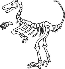 hand drawn Dinosaur fossil © draftphic