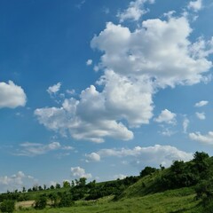 A grassy hill with trees and blue sky with clouds