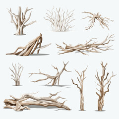 Driftwood vector set isolated on white - obrazy, fototapety, plakaty
